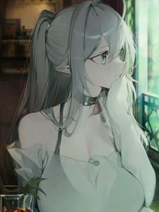 转生精灵小说