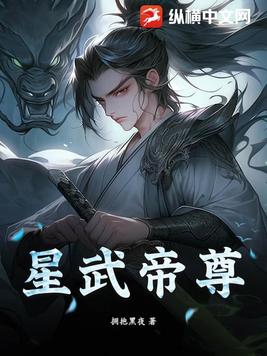 星武