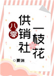 八零供销社一枝花小说百度云